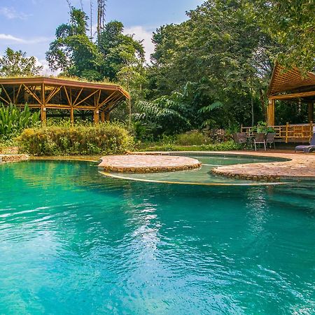Banana Bamboo Ecolodge Ubatumirim Экстерьер фото