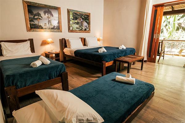 Banana Bamboo Ecolodge Ubatumirim Экстерьер фото
